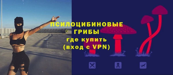 прущие крисы Зеленодольск