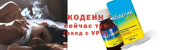spice Инта