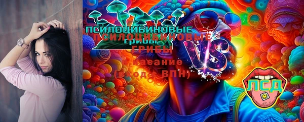 jwh Зеленокумск