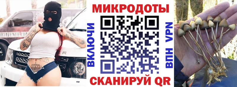 Купить  Вихоревка  Псилоцибиновые грибы прущие грибы 